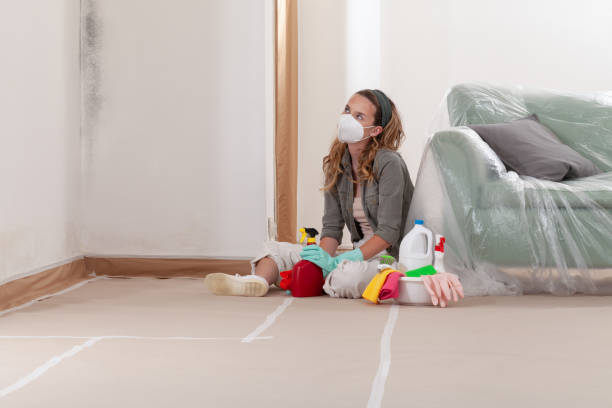 Reliable Mold Cleanup contractor in Robbinsville, NJ by Cheap Mold Removal